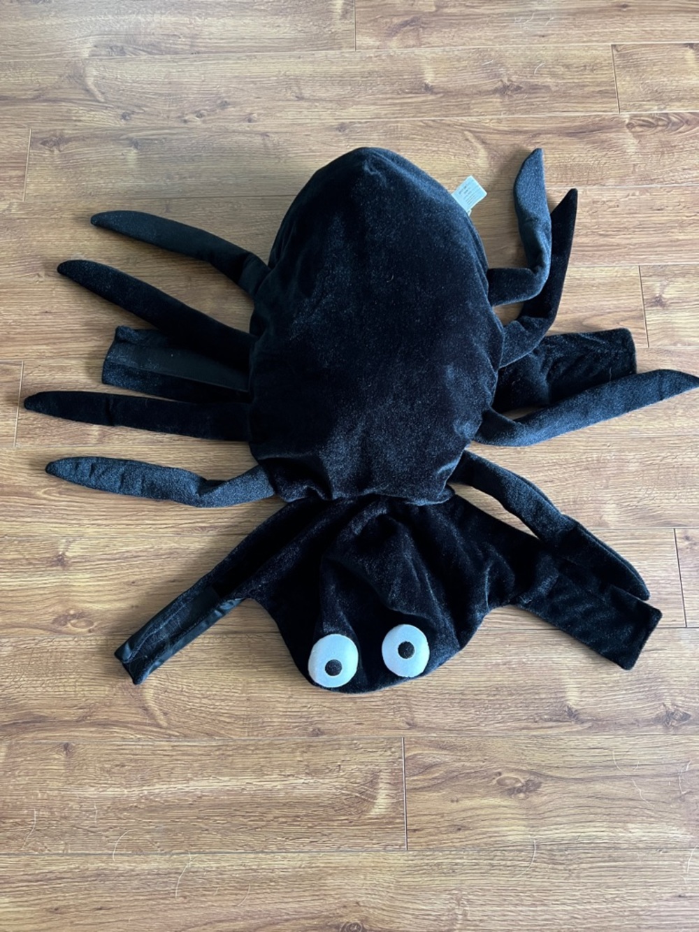 Spider costume for large dogs Halloween